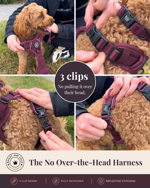 The No Over-the-Head Harness