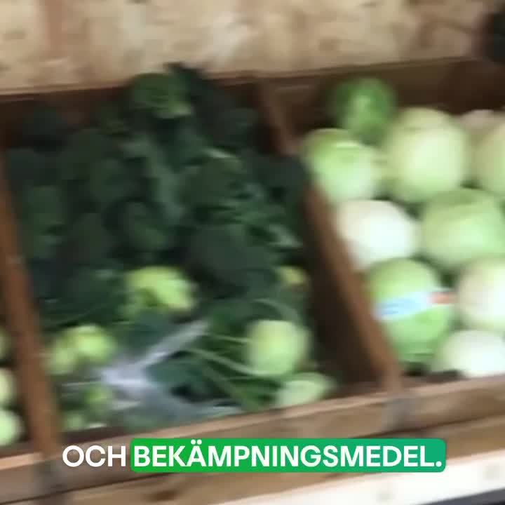 Biodynamiska mejeriprodukter & grönsaker