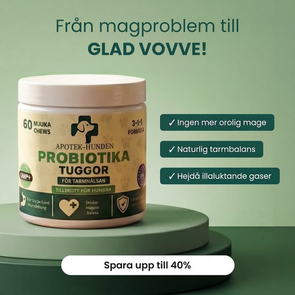 Probiotika Som Löser Din Hunds Mag-, Hud- & Energiproblem
