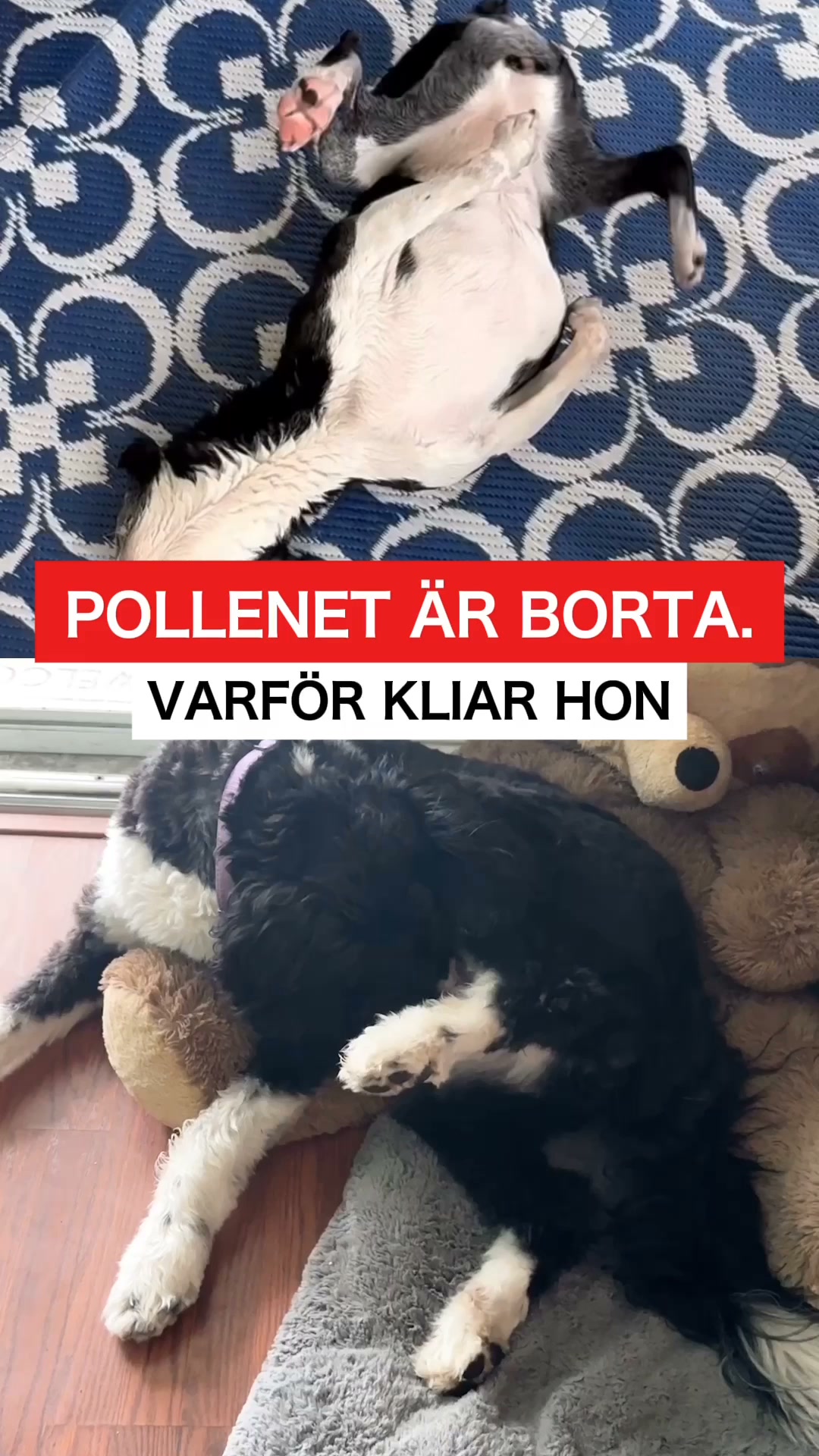 Tre år av klåda innan polletten trillade ner