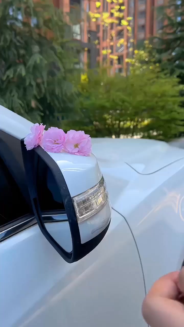 Anúncio de Ptrcar