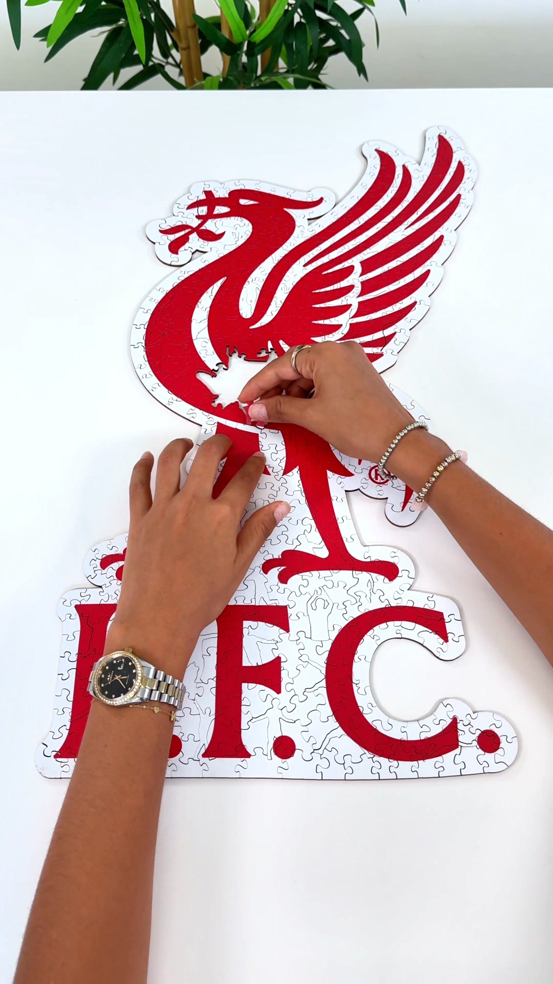 A special gift any fan will love