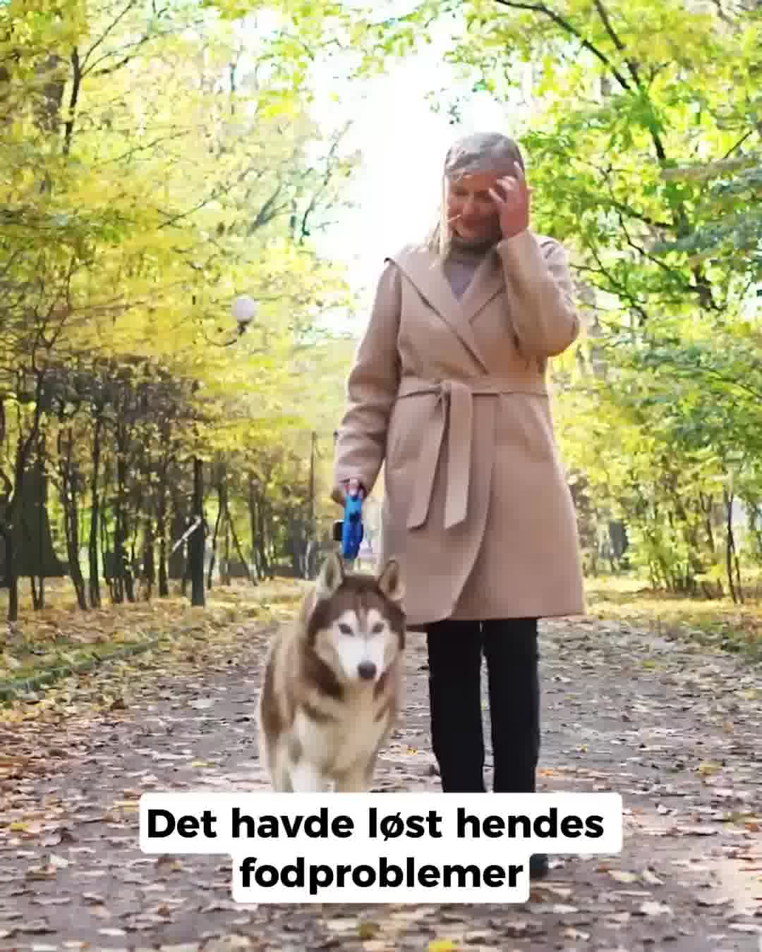 Bestil nu.