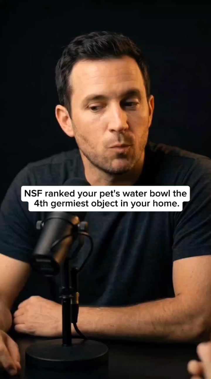 46,000+ Dog Parents Switched to This Fountain