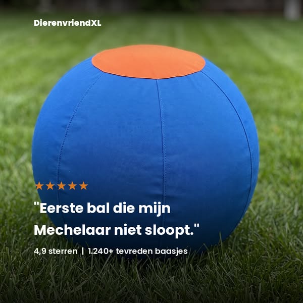 4,9 sterren van 1.240+ baasjes