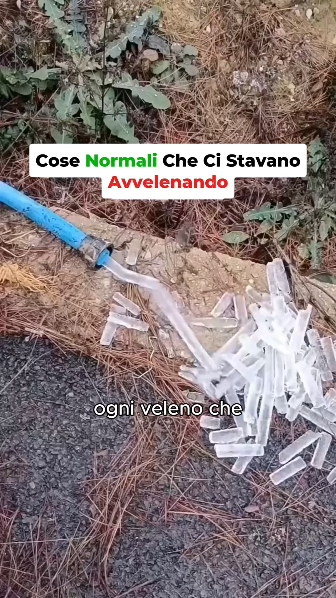 il primo spazzolino Italiano 100% naturale