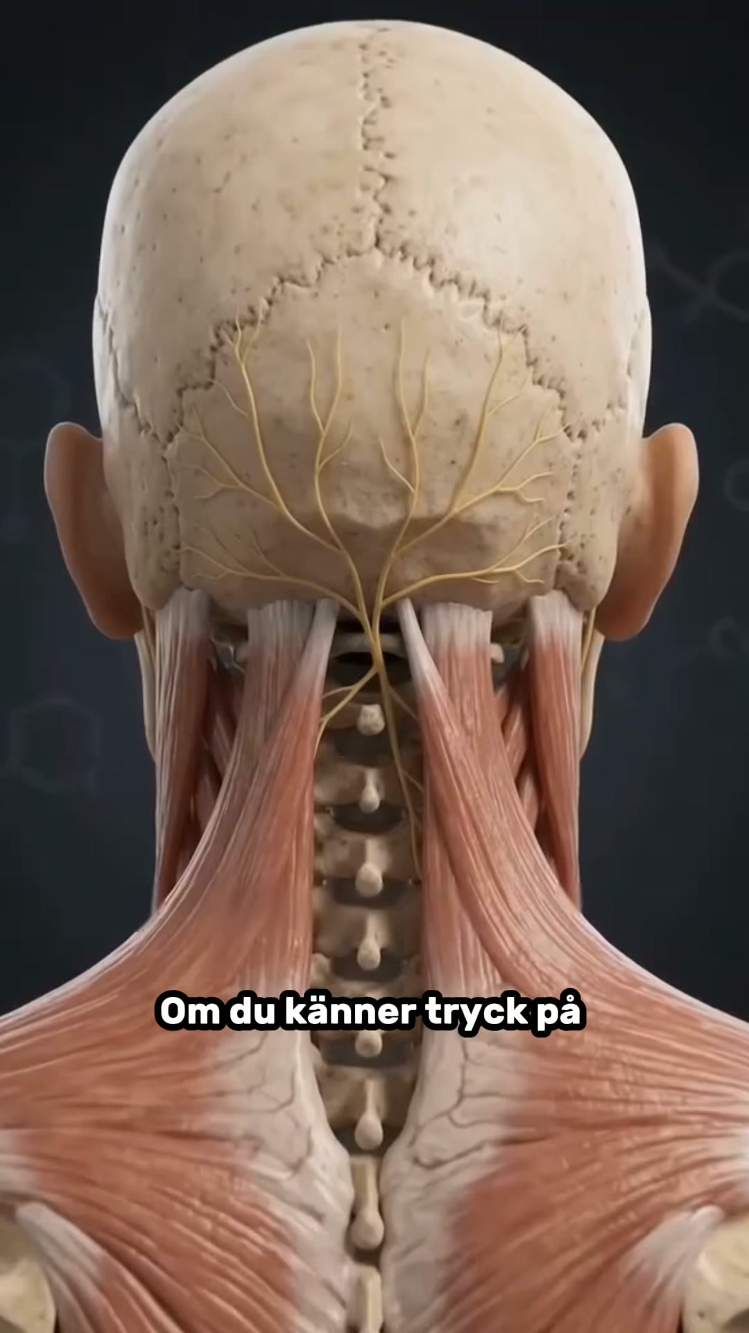 Lindra smärtan i nacken