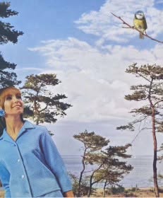 Köpa konst - Köpa konst online — Galleri Mats Bergman