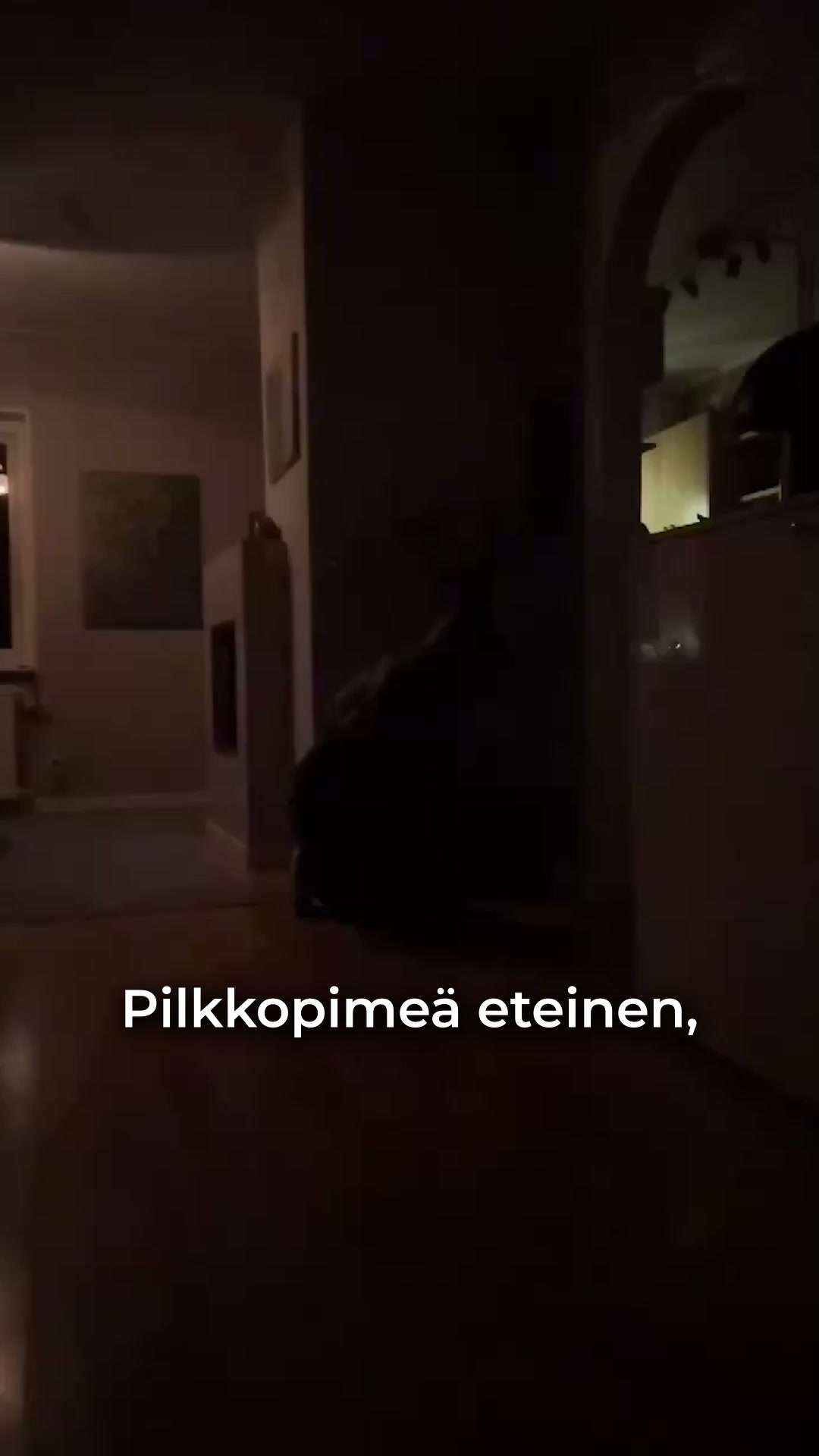 Tee kodista tunnelmallisempi — 10 sekunnissa