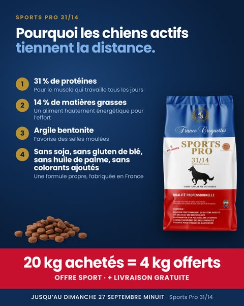 Formulé pour les chiens actifs