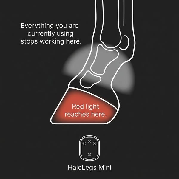 Every night your horse loses hoof circulation for 12 hours.