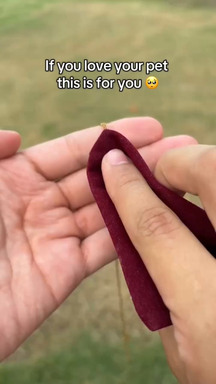 Your pet's name, always with you