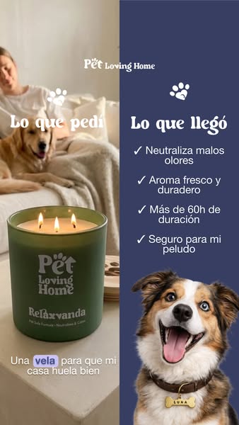 Elimina malos olores de raíz