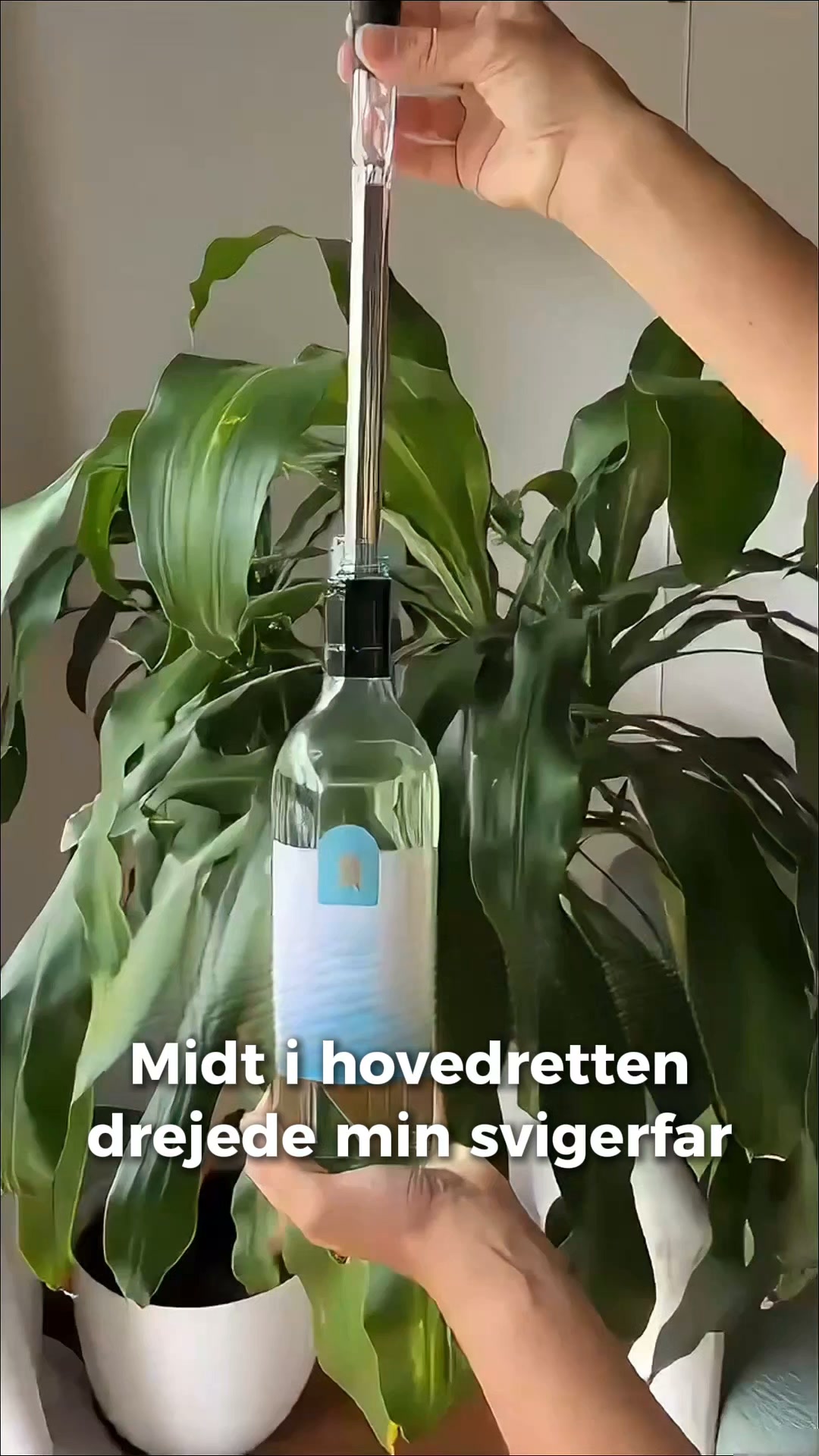 Kold vin op til 2 timer – og et nik fra svigerfar