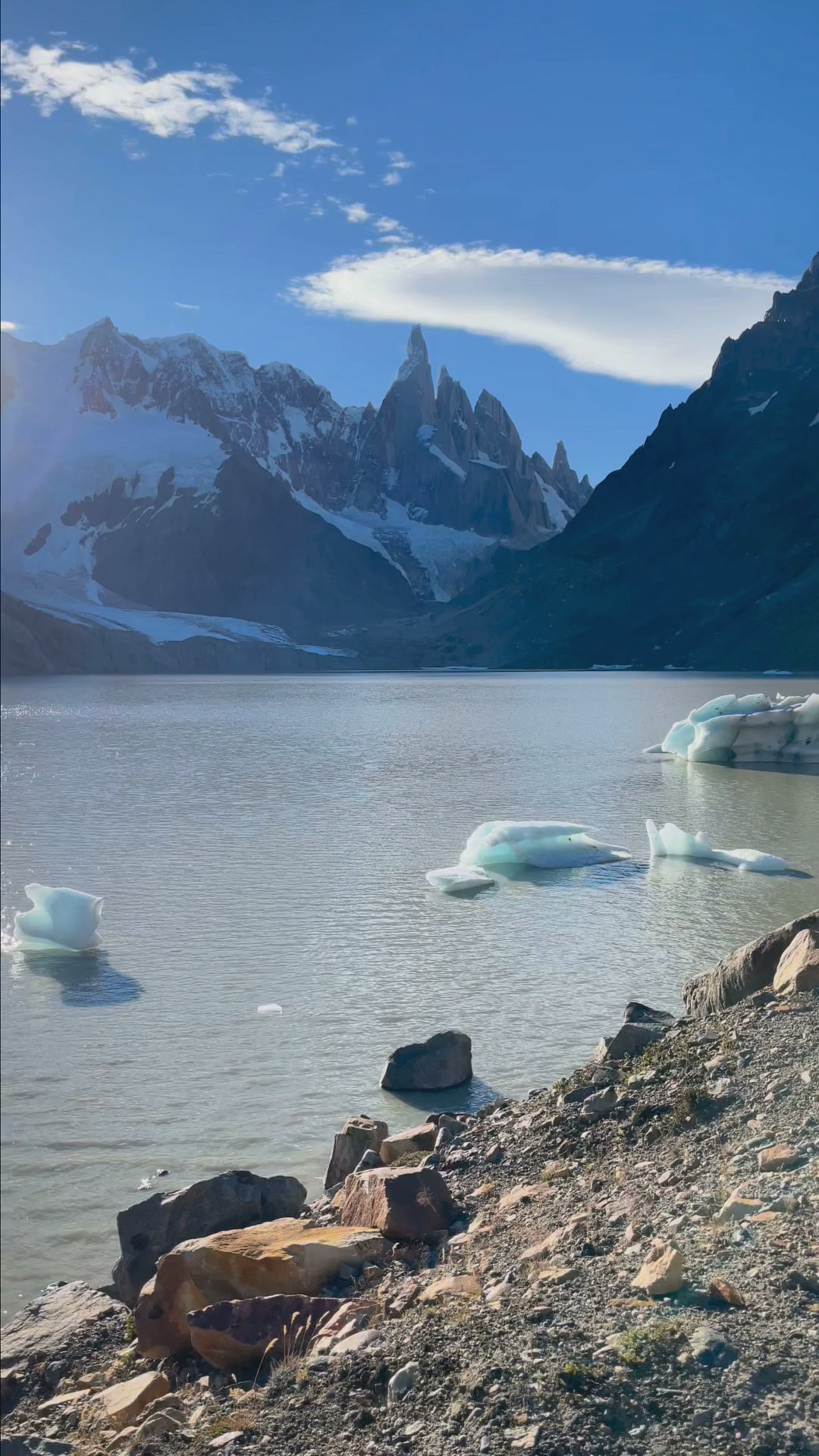 Merinould til vandring i Patagonien