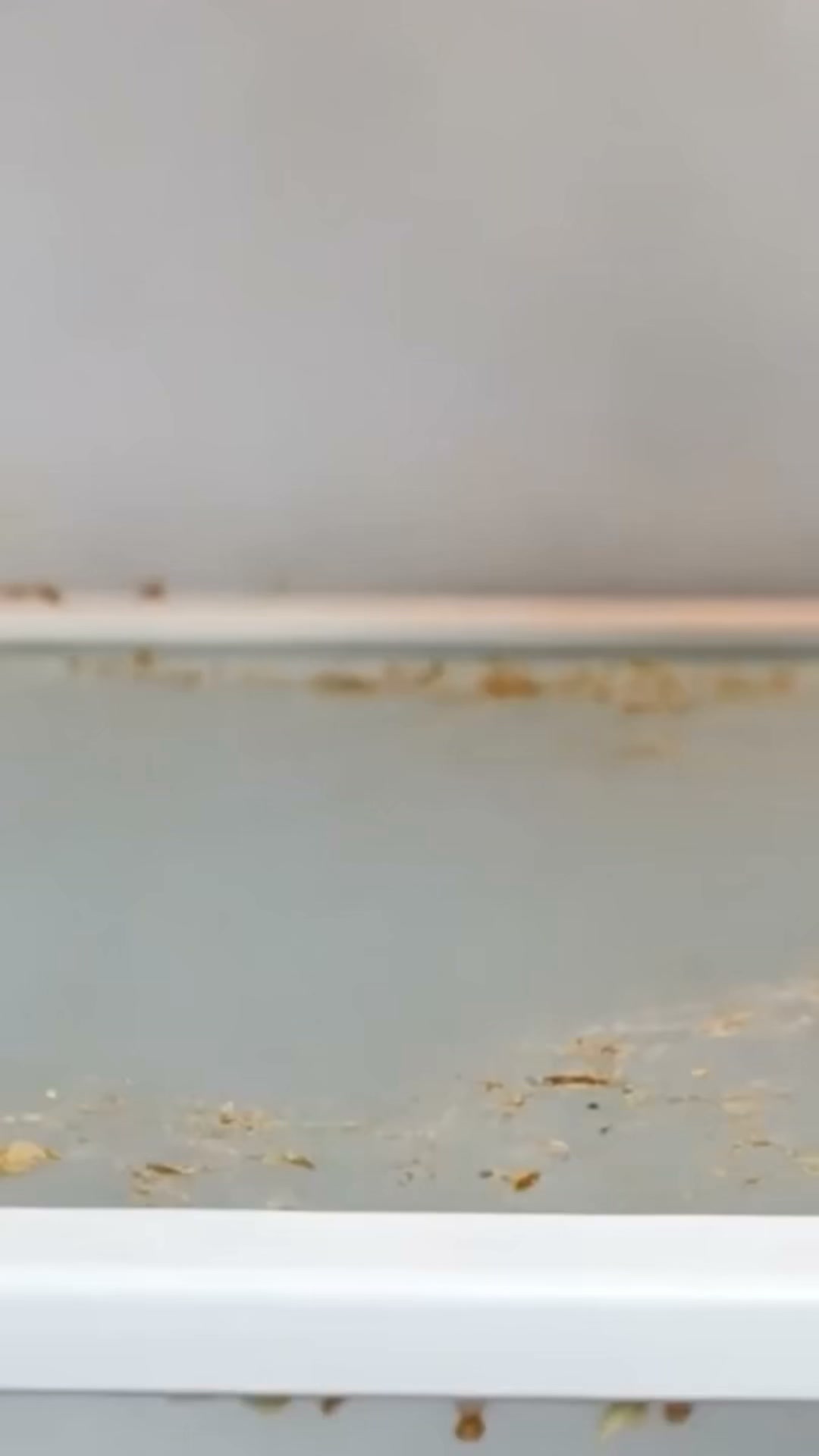 Streak-Free Cleaning With Just Water