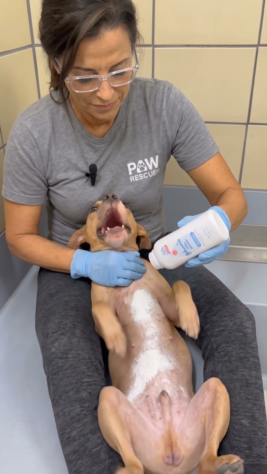 $590 to be told he's allergic to grass