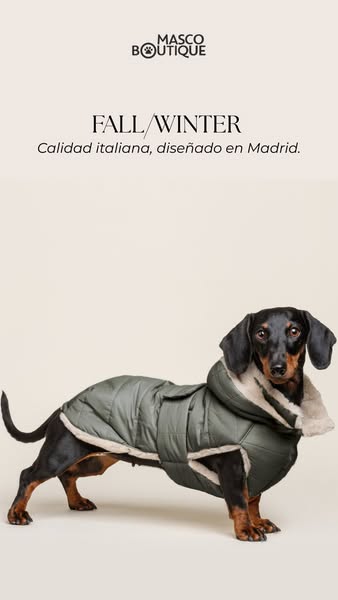 El mejor abrigo para tu perro
