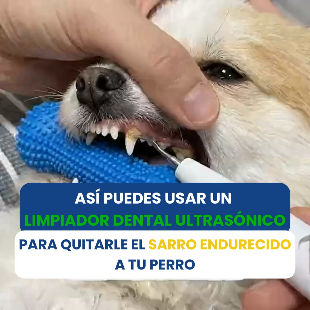 Envío Gratis 24/48h - Pago Contrareembolso