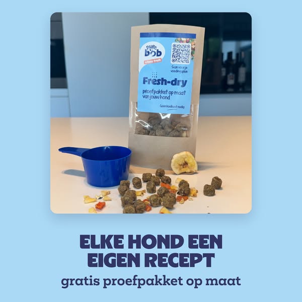 Hoe 2 Belgen hondenvoeding maken