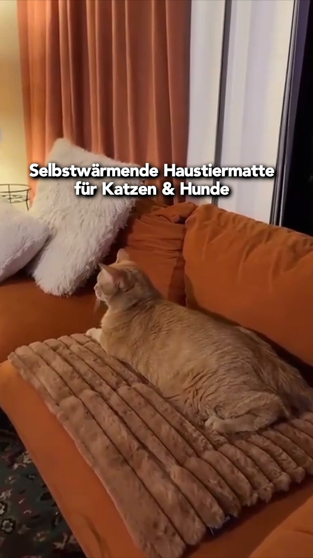 #1 Katzen Wärmeplatz
