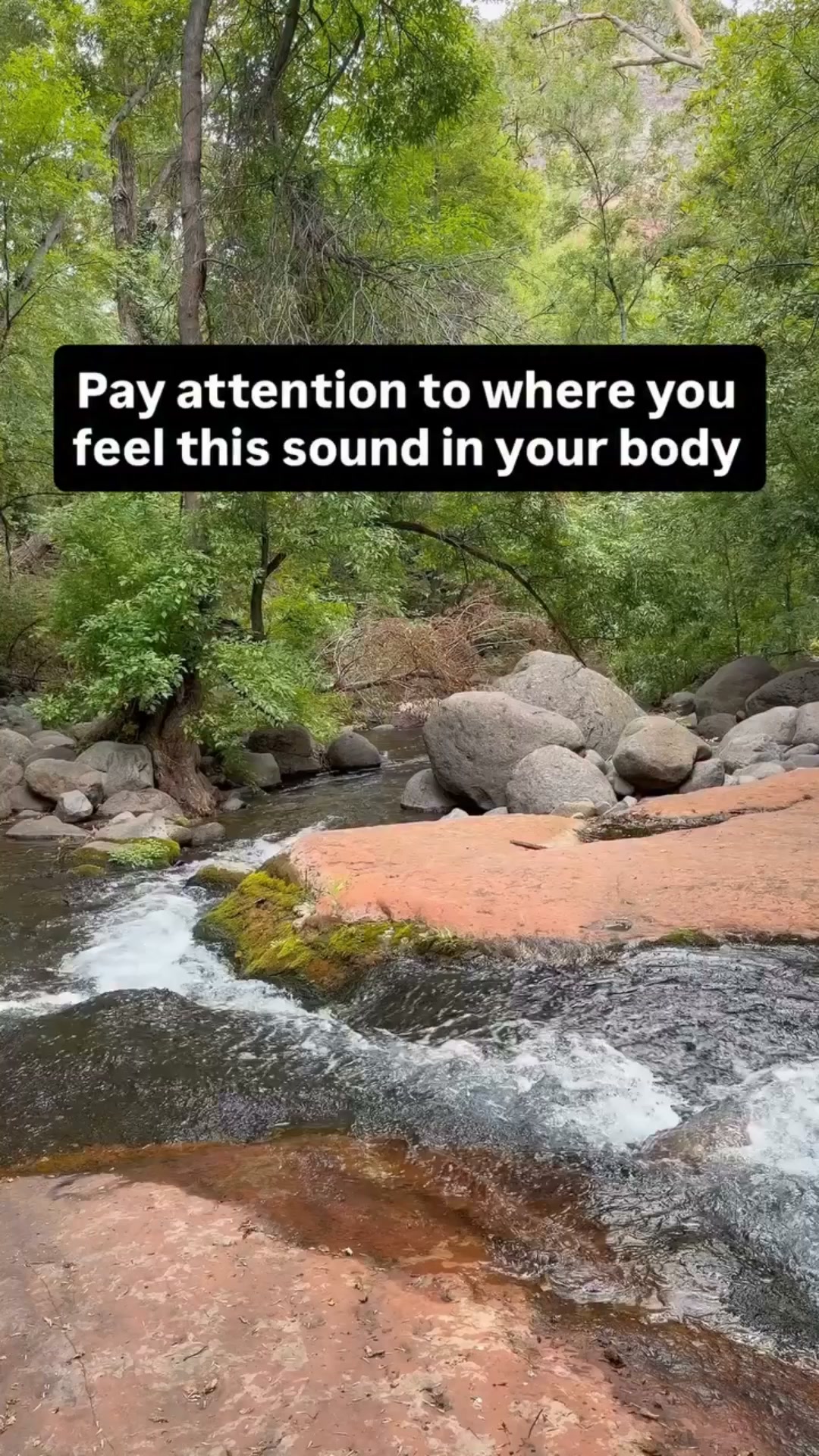 This sound will reset your nervous system in 12 seconds
