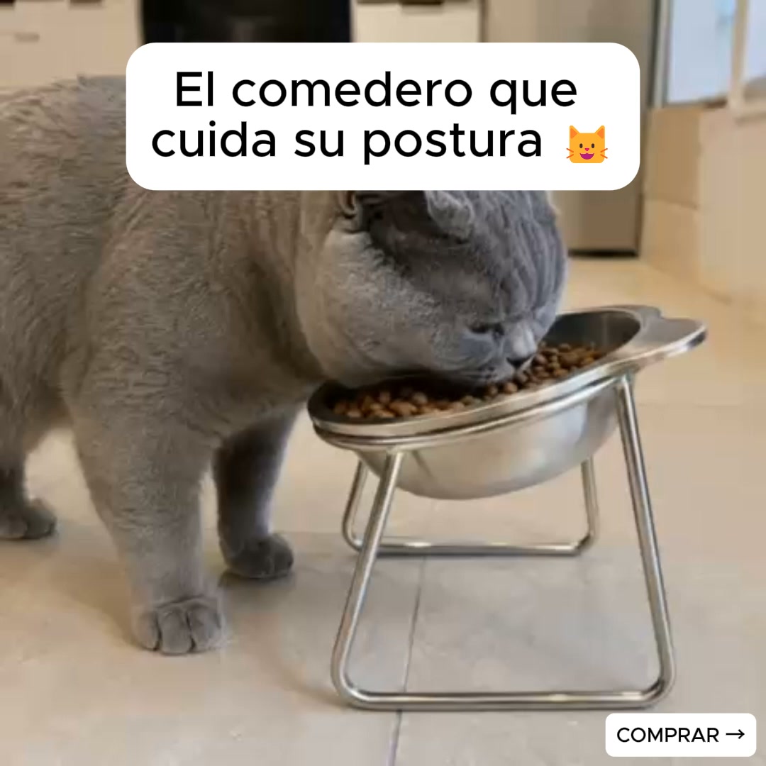 El comedero diseñado como si tu gato importara de verdad