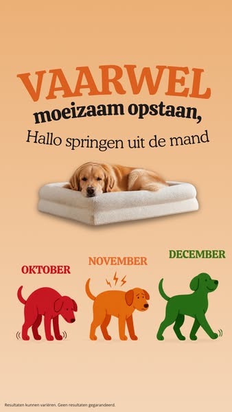 Nu 20% korting + 4 gratis cadeaus!