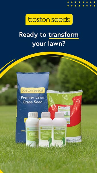 Get Professional Results with Expert Lawn Care
