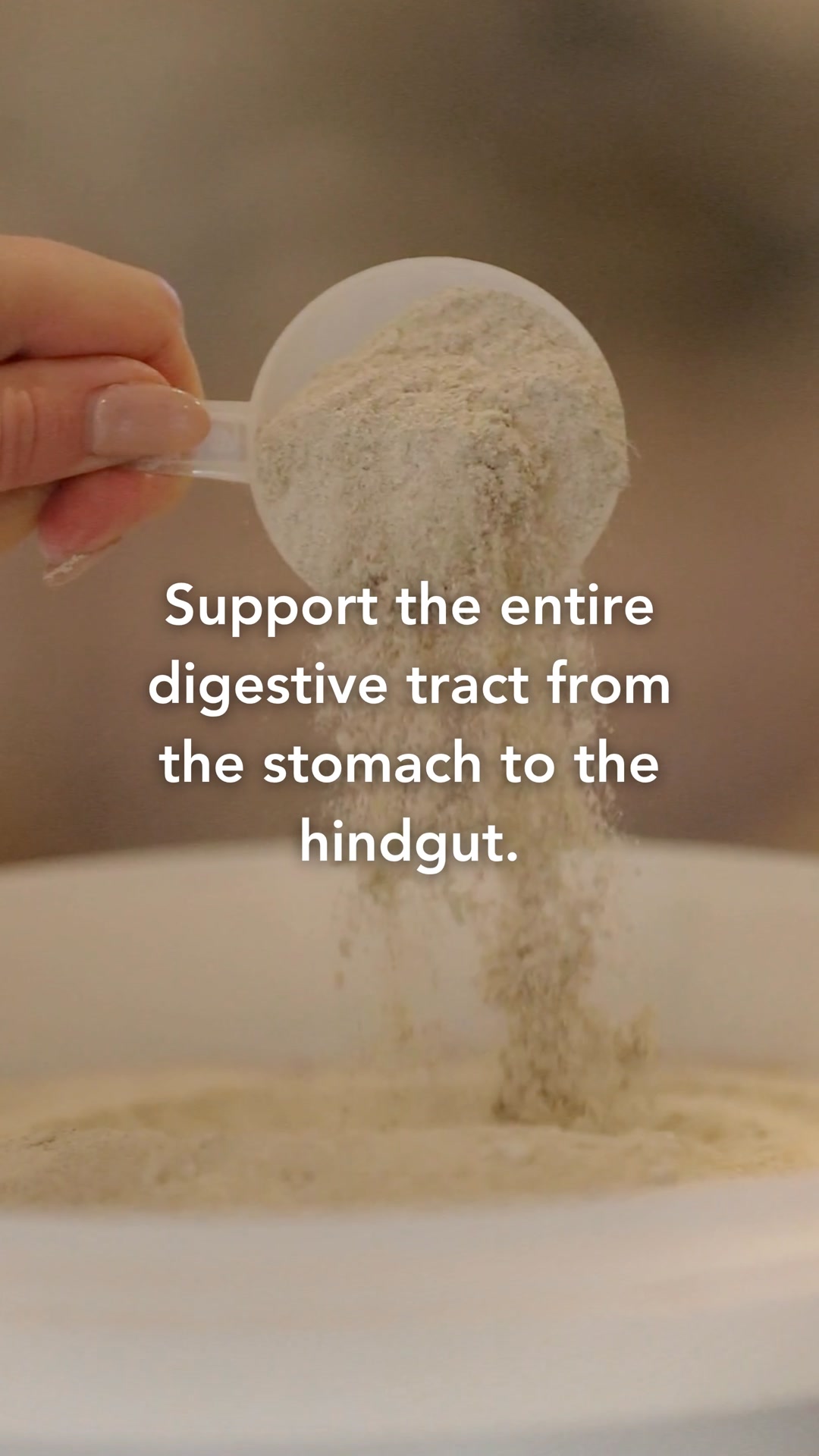 Order Ultimate Gastro-Ease® Today