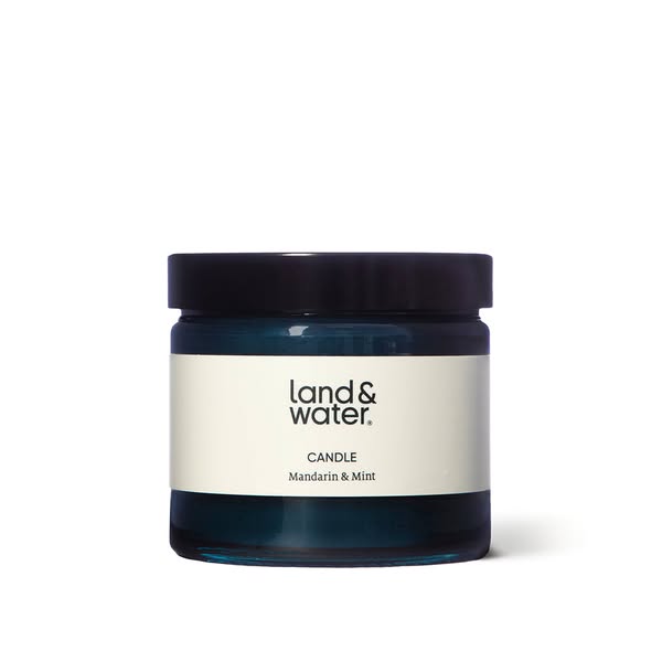 Candle | Mandarin & Mint 220g