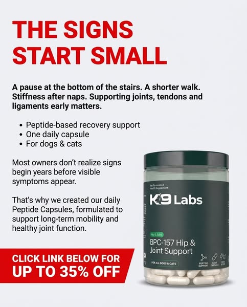 Start Your Dogs BPC-157 Journey