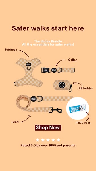 Free Dental Stick + Free Shipping