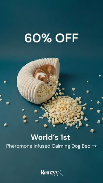 Limited-Time (60% OFF)