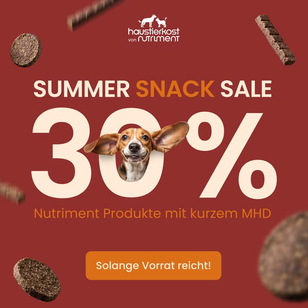 30 % Rabatt auf Hundesnacks