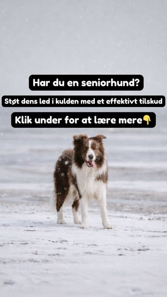 Nedsat Mobilitet? Prøv Disse Godbidder