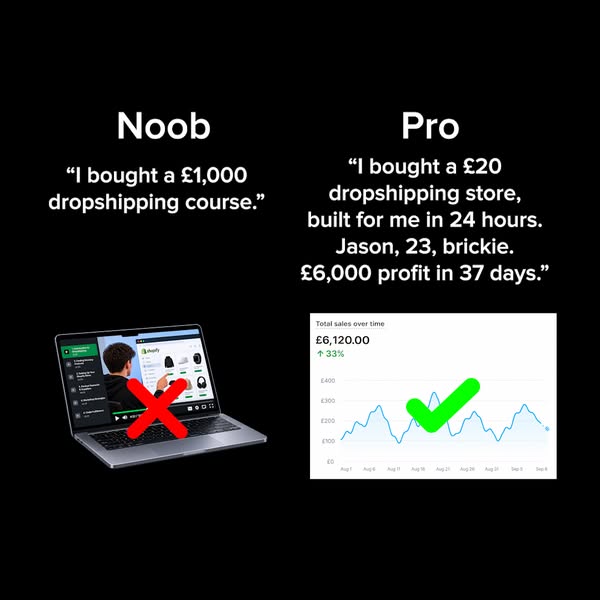 We'll Build Your Shopify Store For Only £20!