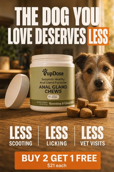 Your Dog Deserves Less Scooting