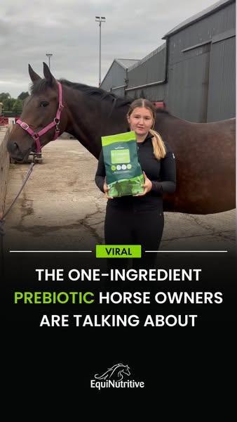 Purpose-Built Nutrition for Horses.