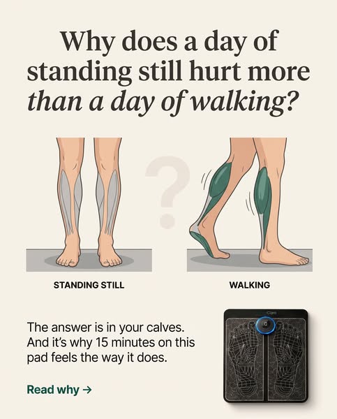 Why Standing Feels Different From Walking
