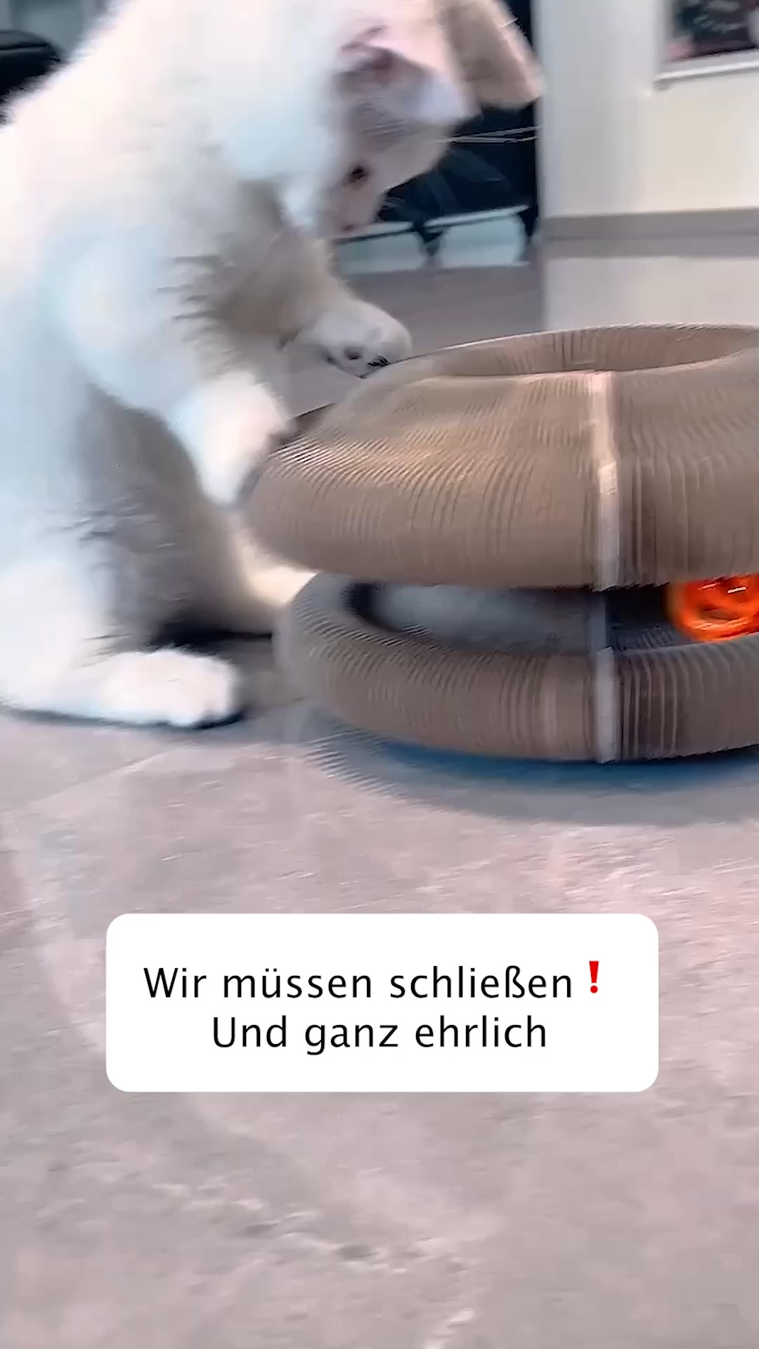 1+1 Neukunden Angebot