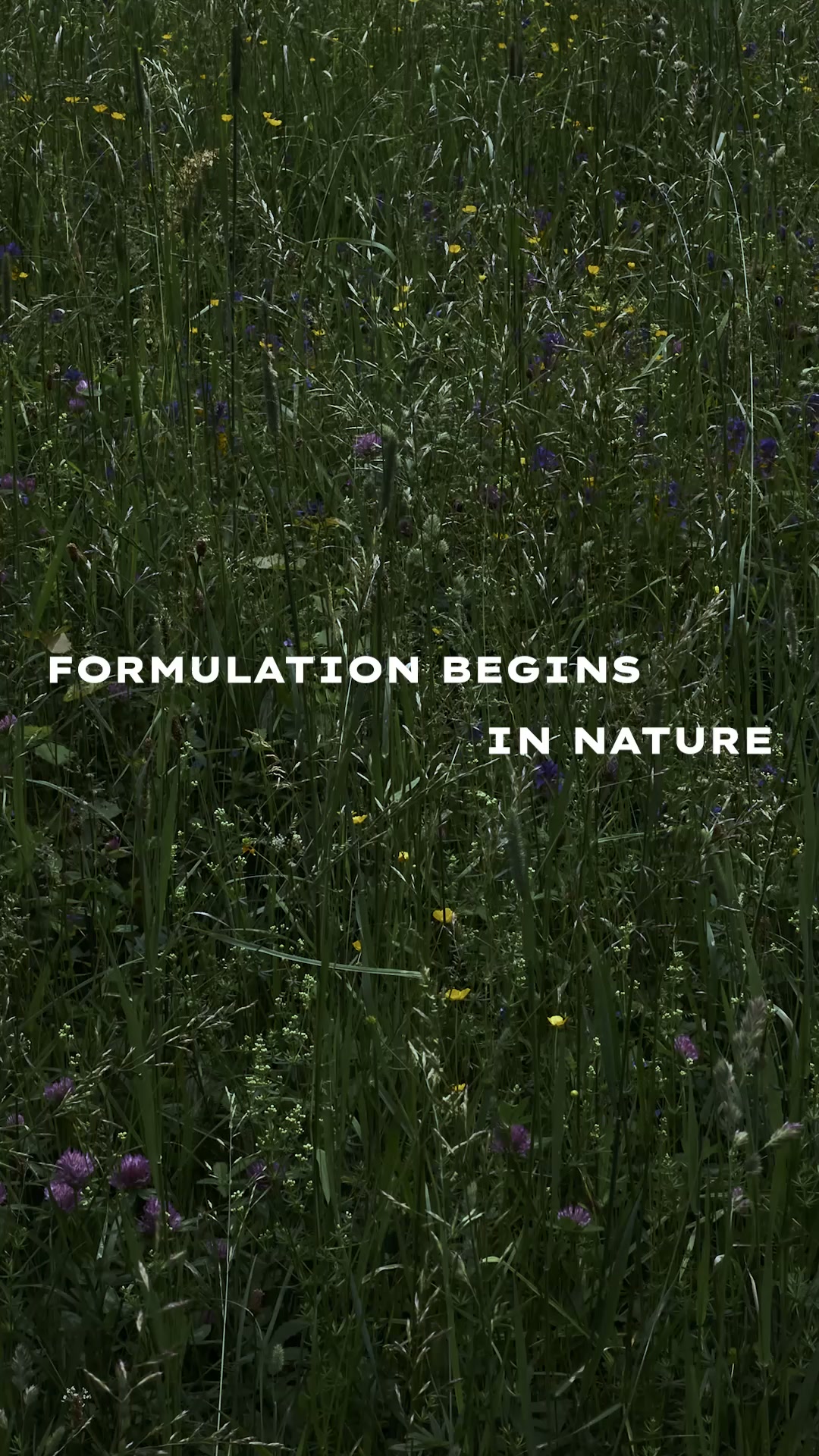 Wissenschaft geleitet von der Natur