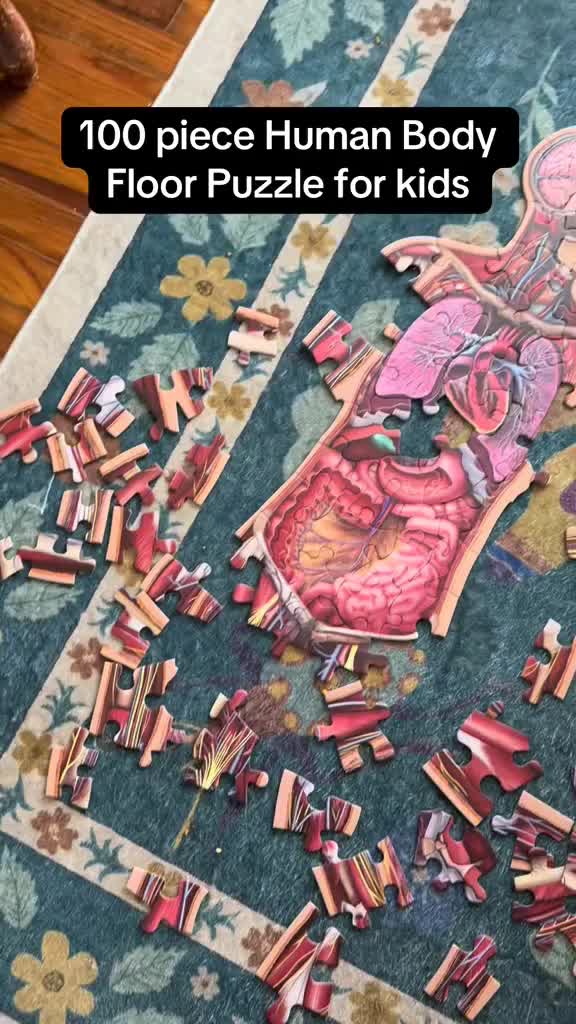 News - Human Anatomy Puzzle for Kids