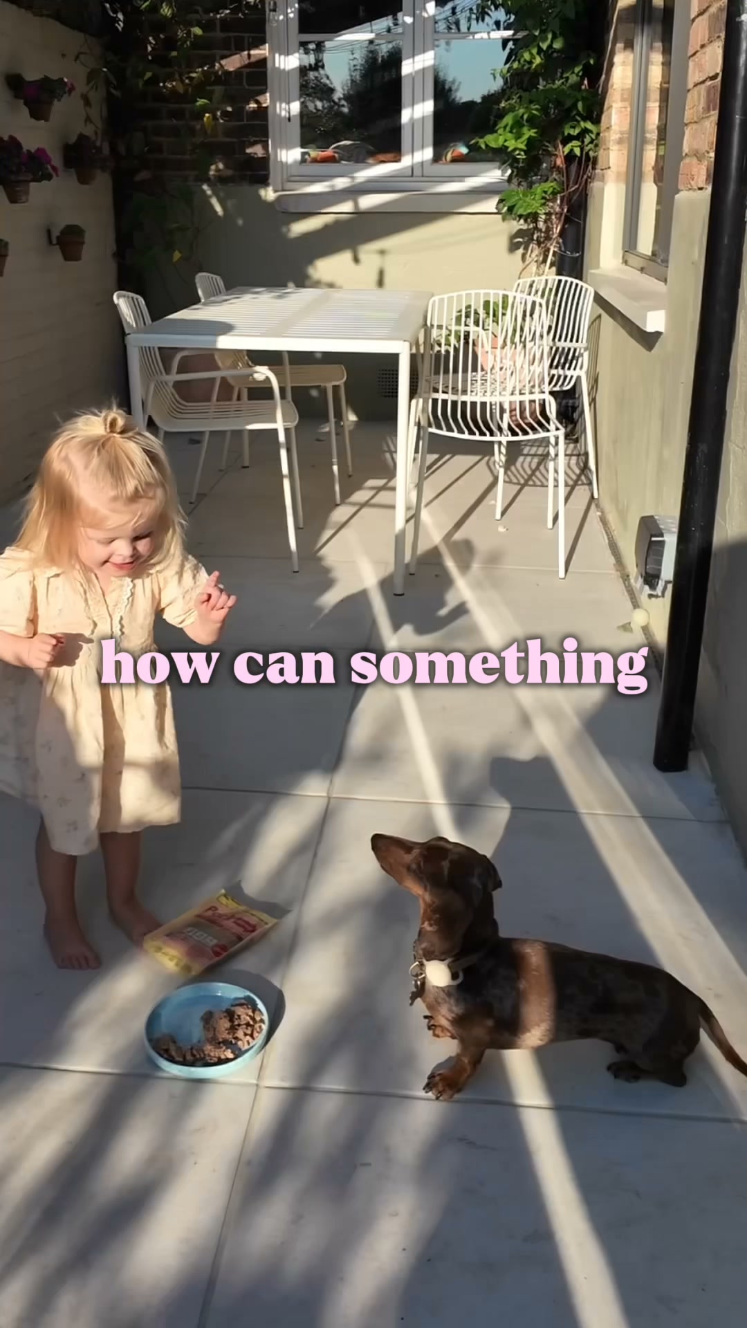 Butternut Box | Fresh Dog Food Delivery