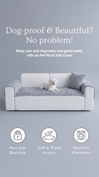 Sofa is much cleaner now..