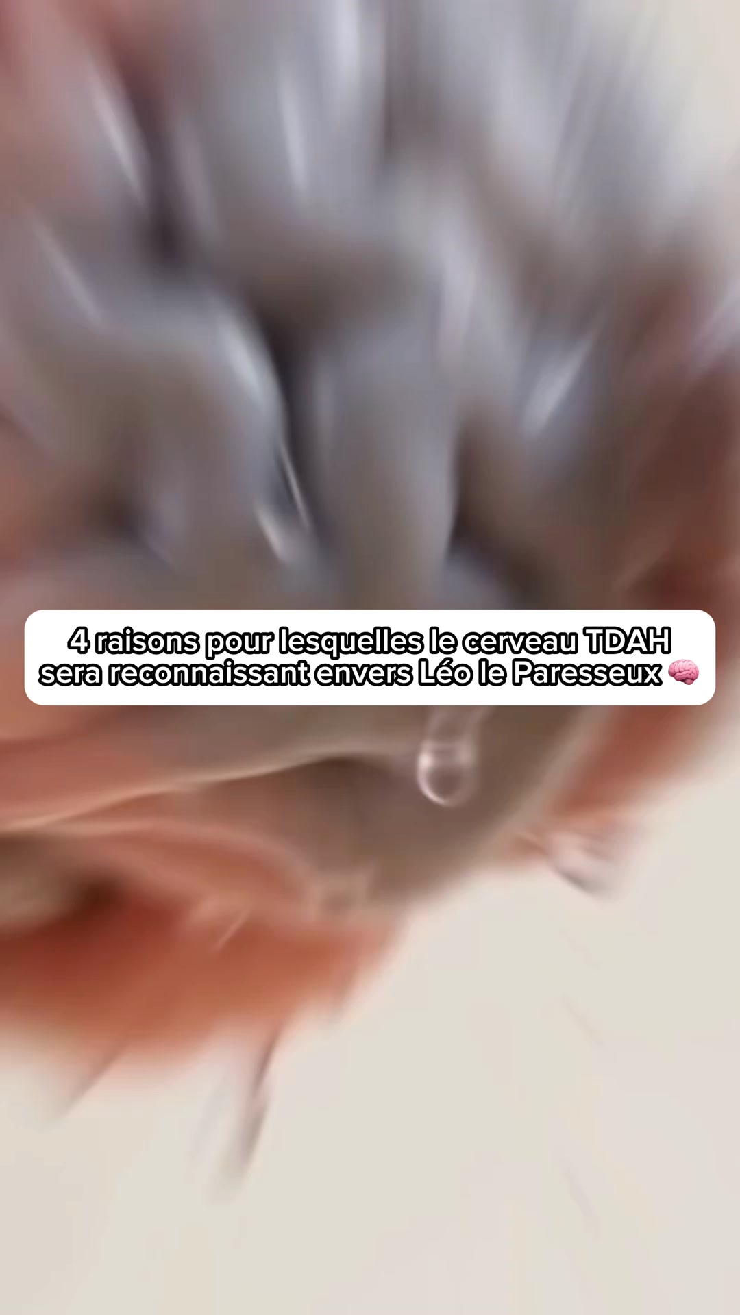 50% dès maintenant !