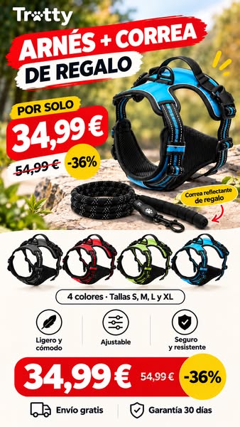 Arnés anti-tirones + correa de regalo