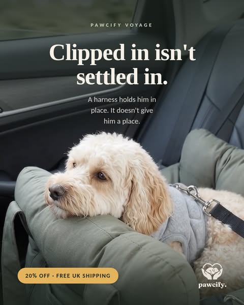 Clipped in isn't settled in
