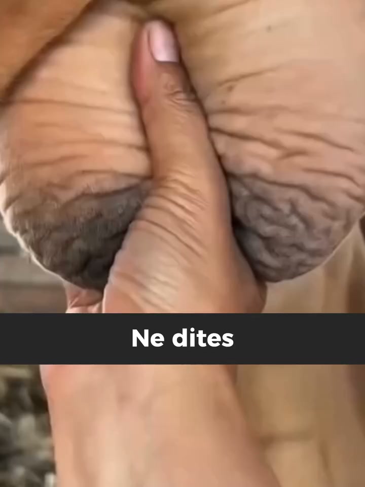 Anúncio de Consultoria OP