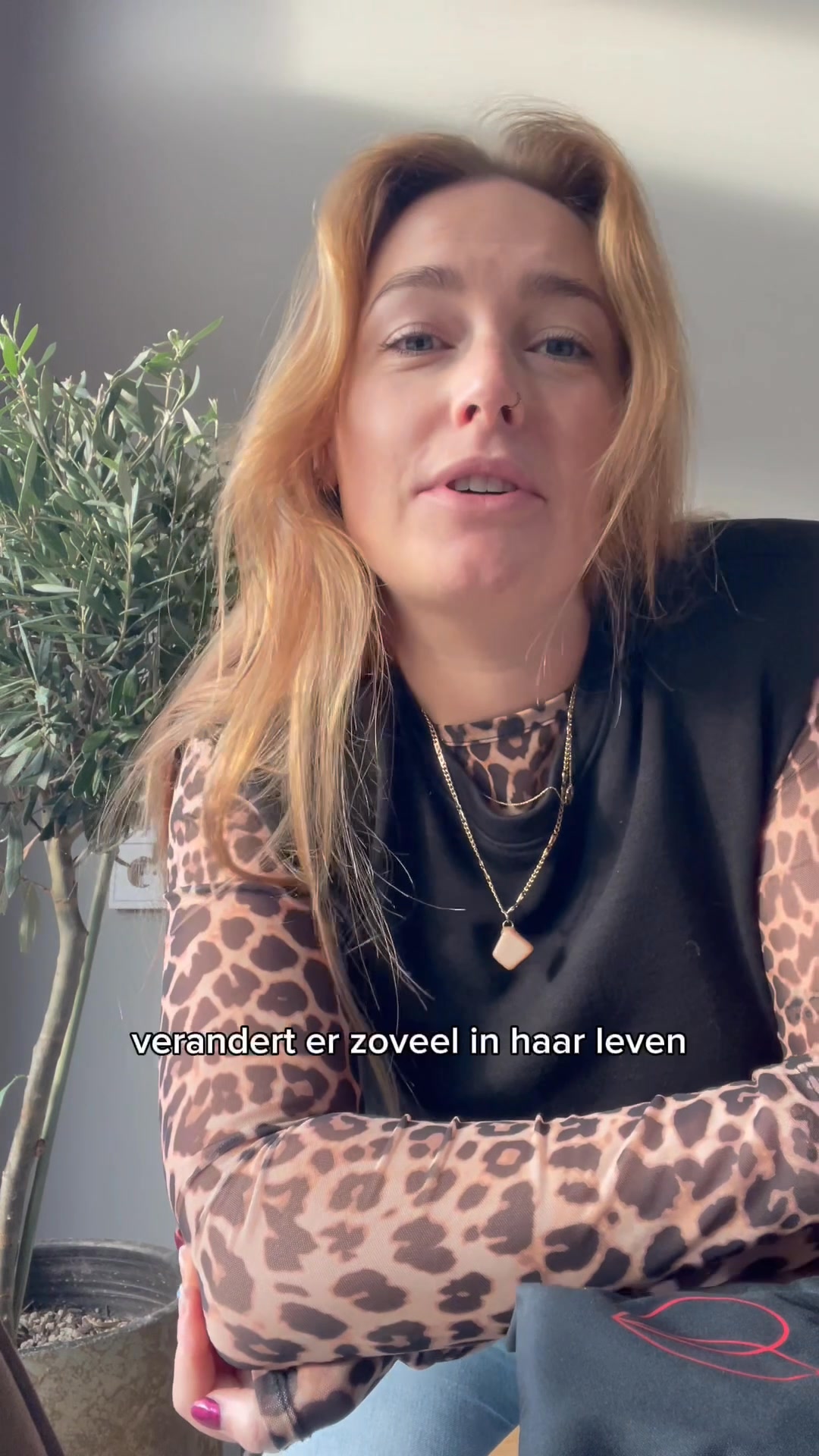 Ontdek het verschil